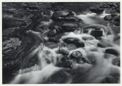 Stream, Spring