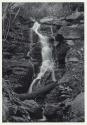 Waterfall, Autumn