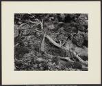 Ten Photographs