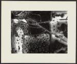 Ten Photographs