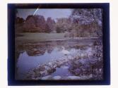 [Sonnenberg Gardens]
