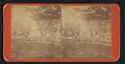 [Outdoor scene with people playing croquet]