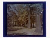 Canandaigua Oct 1923