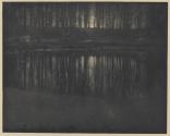Moonlight: The Pond