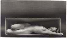 In the Box—Horizontal