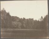 [Forest beyond fenced field]