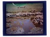 [Bausch - Rock Garden view]