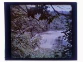 [Genesee River falls]