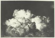 Cumulus
