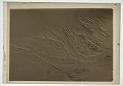 Sand Erosions.I (1936)