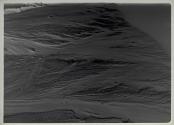 Sand Erosions.I (1936)