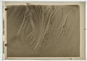 Sand Erosions.I (1936)