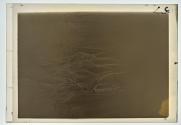 Sand Erosions.I (1936)