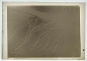 Sand Erosions.I (1936)