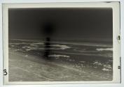 Low Tide (Kelp),Ebb Tide(erased) (19)37