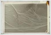 Sand Erosions.I (1936)