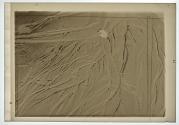 Sand Erosions.I (1936)