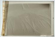 Sand Erosions.II (1936)