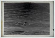 Ebb Tide (1933)