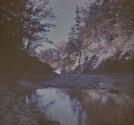 Stony Brook Glen