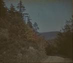 [Landscape]