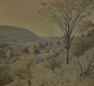 [Landscape]