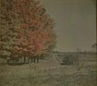[Landscape]