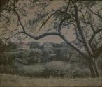 [Landscape with houses]