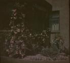 [House and garden]