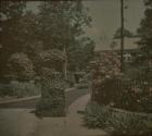 Bemish