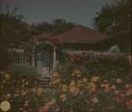 [House and garden]
