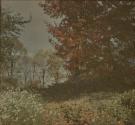Dansville