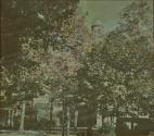 Dansville