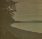 Canandaigua Punnett