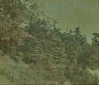 Stony Brook Glen