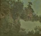 Stony Brook Glen