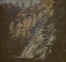 [Landscape]
