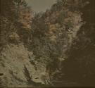 Stony Brook Glen