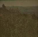 [Landscape]