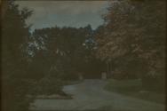 [Trees and road]