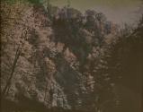 [Landscape]