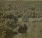 [Landscape]