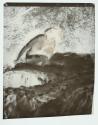 [The Brook, 1905]