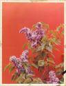 [Lilacs (Women's Home Companion)]