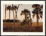Crystal River Nuclear Plant (morning), Crystal River, Florida