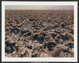 Devil's Golf Course, Death Valley, California