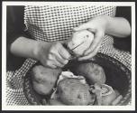 [Peeling Potatoes (Jergen's Lotion)]