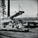 Logging operation, Olympic Peninsula, Washington