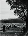 Bringing in the cows, Brooklea Farm, Kanona, New York