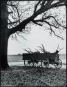 Hand plows in wagon, Aiken, South Carolina